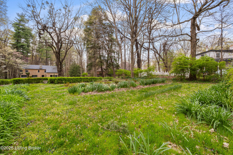 Listing Image 76
