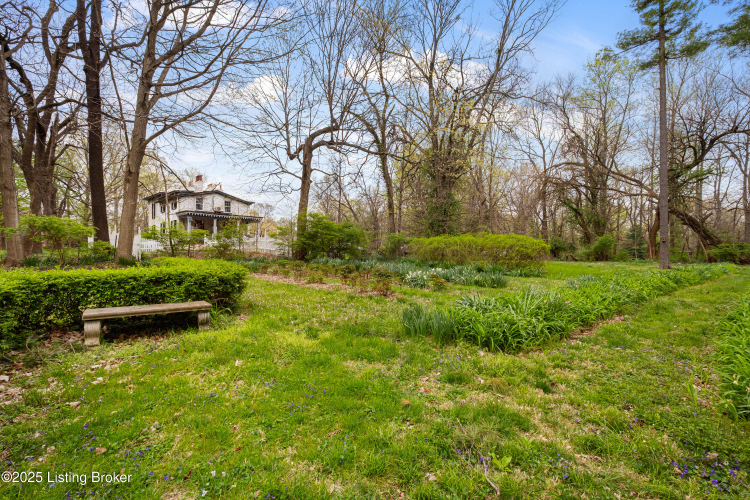 Listing Image 77