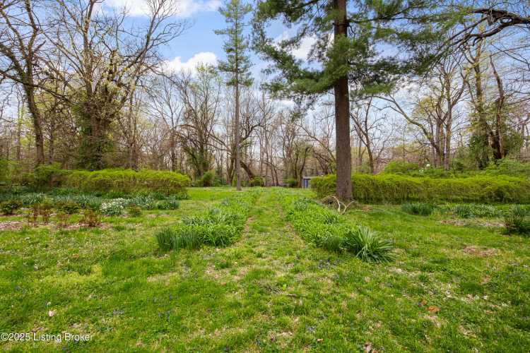 Listing Image 79