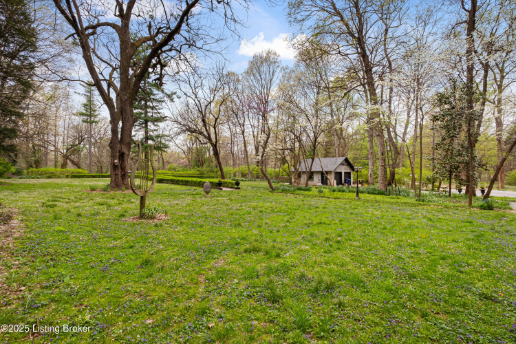 Listing Image 80
