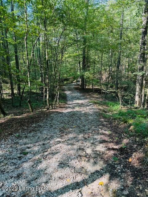 Listing Image 65