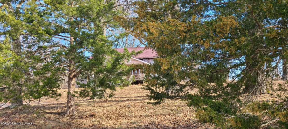 Listing Image 41