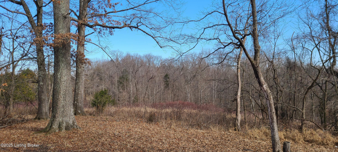 Listing Image 45
