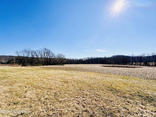 Listing Image 65