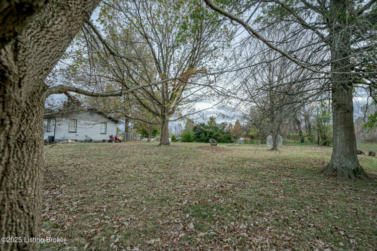 Listing Image 74