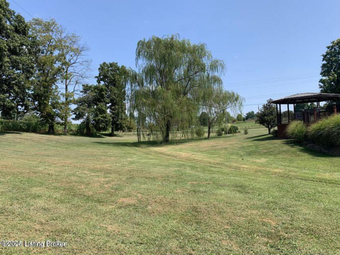 Listing Image 39