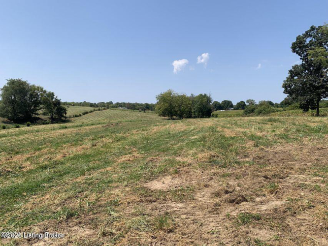Listing Image 43