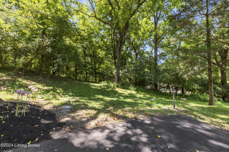 Listing Image 67