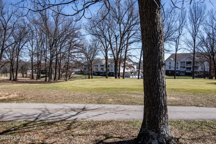 Listing Image 84