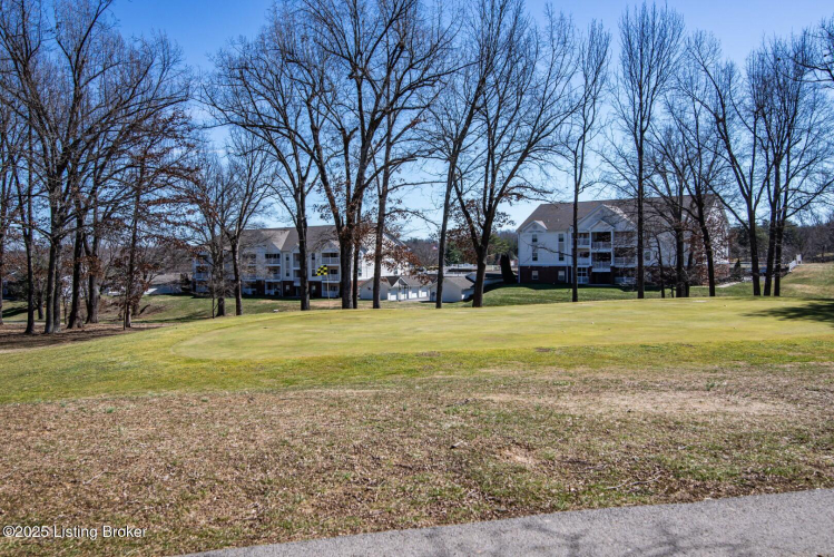 Listing Image 85