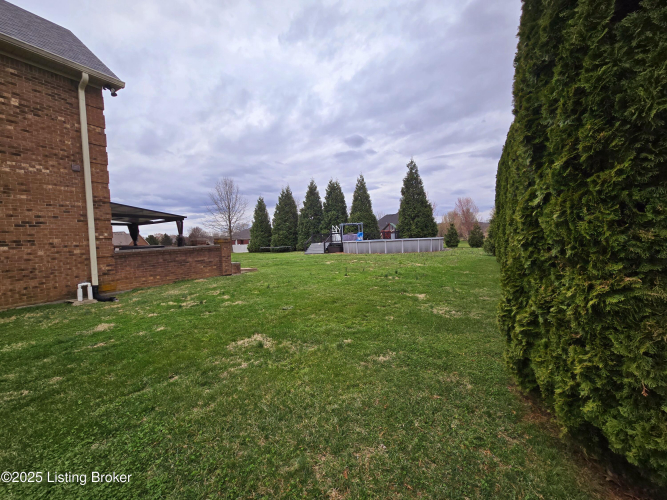 Listing Image 29