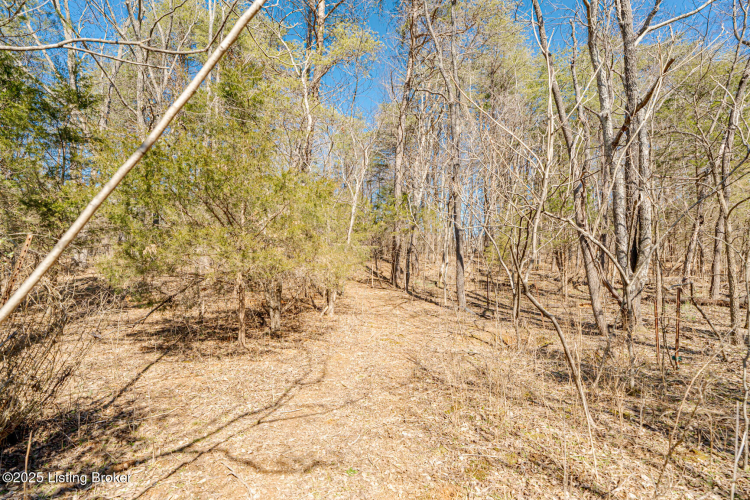 Listing Image 57