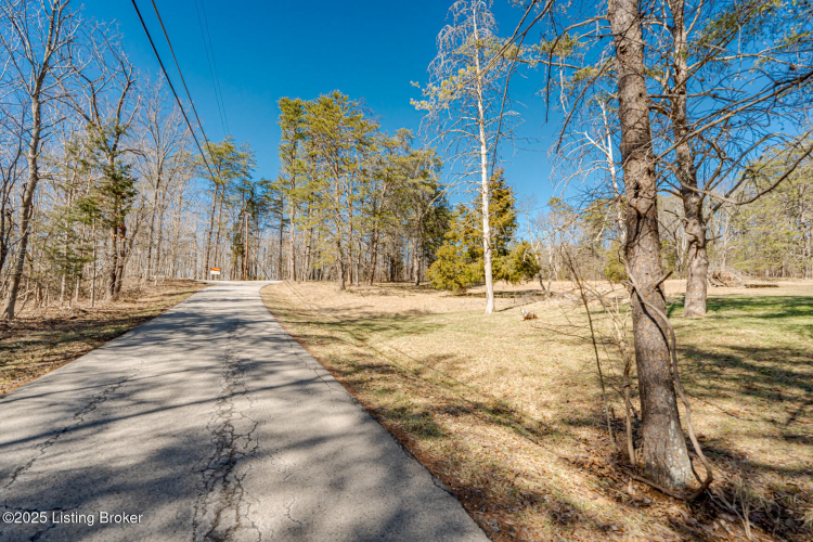 Listing Image 65