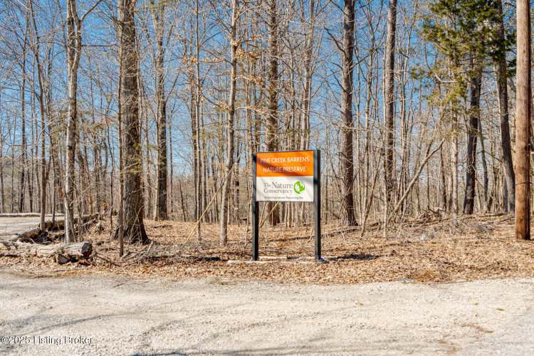 Listing Image 67