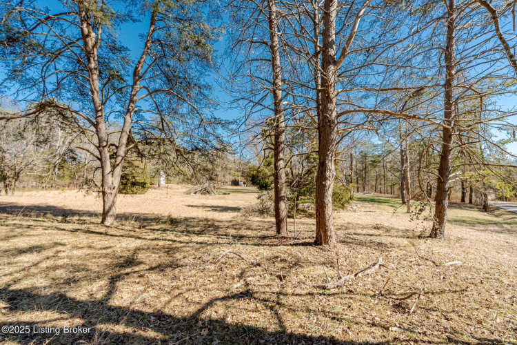 Listing Image 68