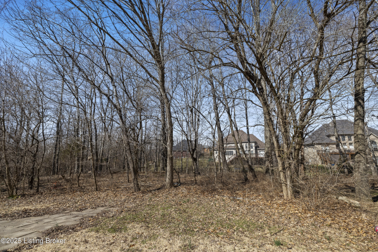 Listing Image 50