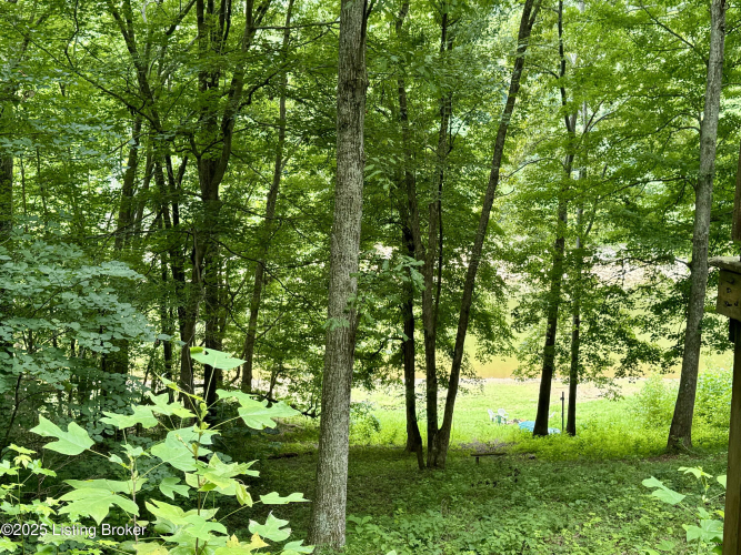 Listing Image 27