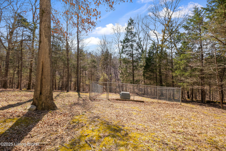 Listing Image 25
