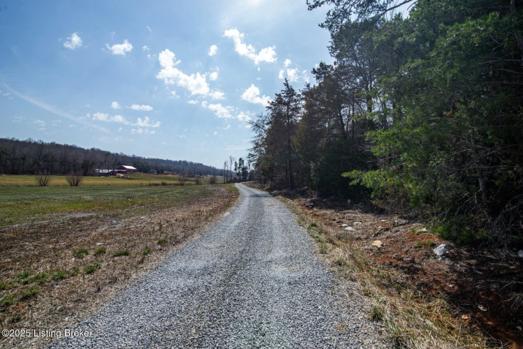 Listing Image 49