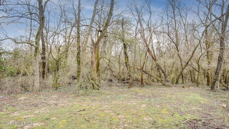 Listing Image 54