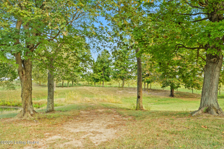 Listing Image 24