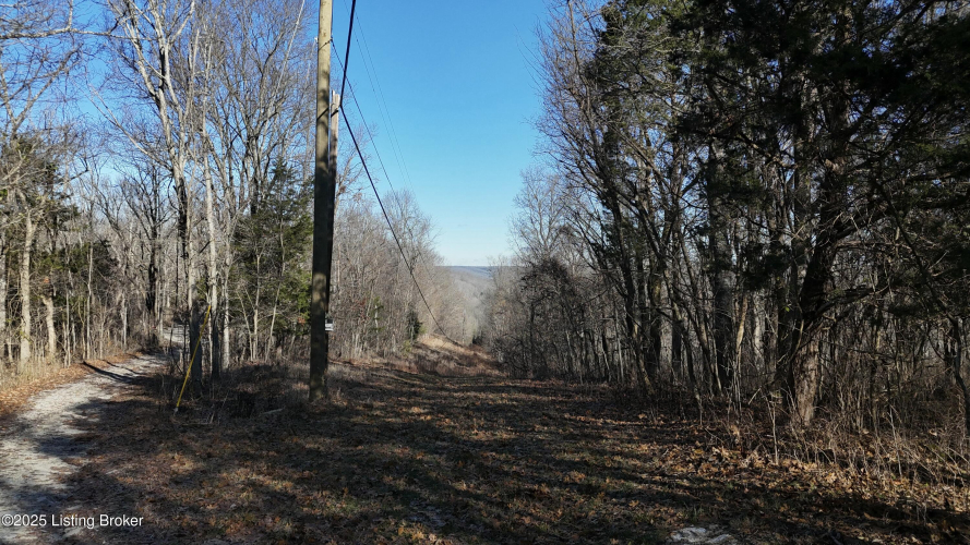 Listing Image 37