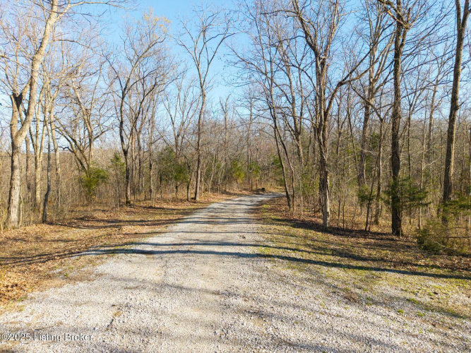 Listing Image 39