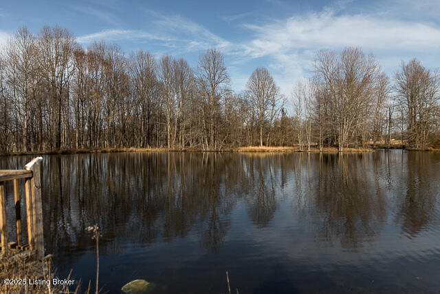 Listing Image 81