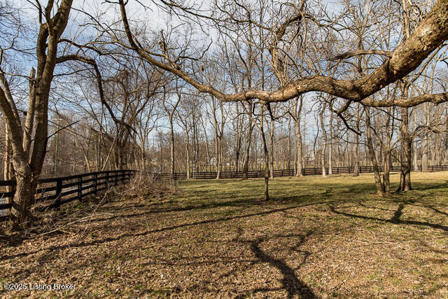 Listing Image 91