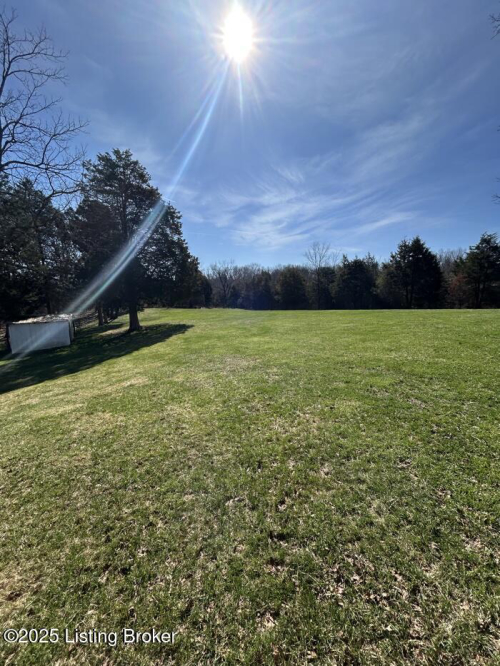 Listing Image 39