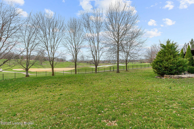 Listing Image 85