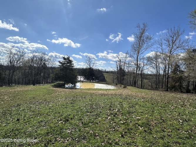 Listing Image 38