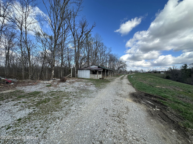 Listing Image 49