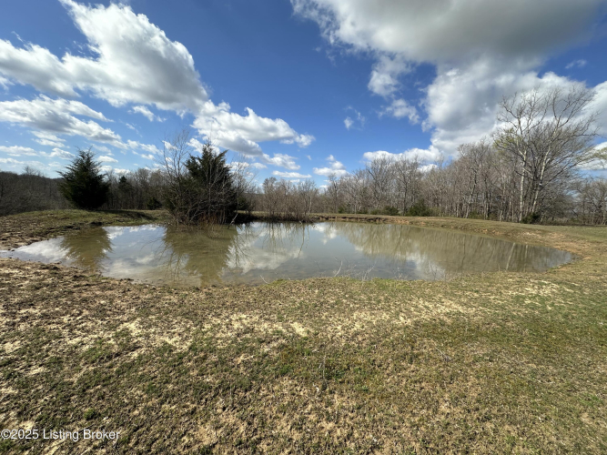 Listing Image 55