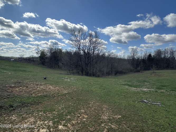Listing Image 58