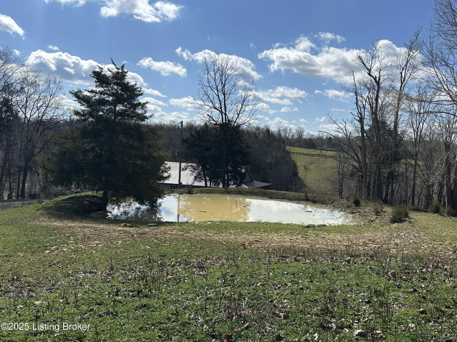 Listing Image 63