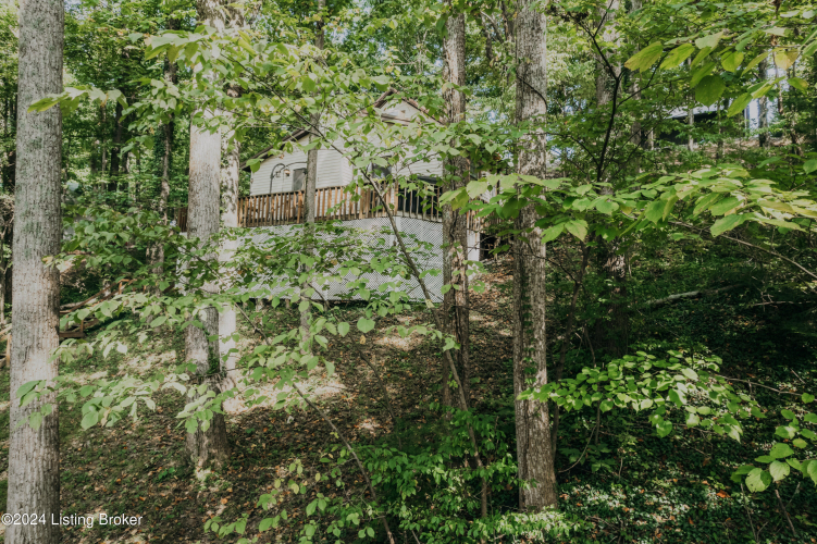 Listing Image 49