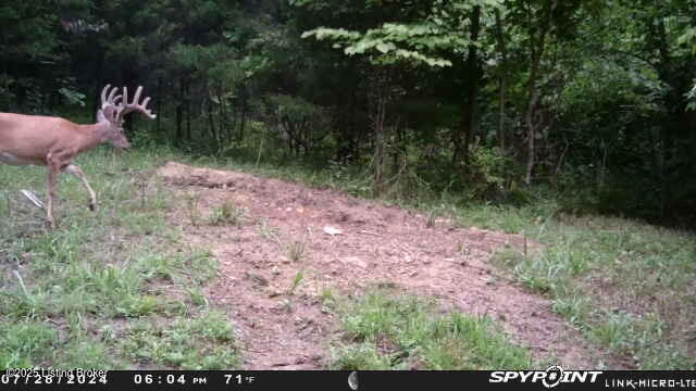 Listing Image 48