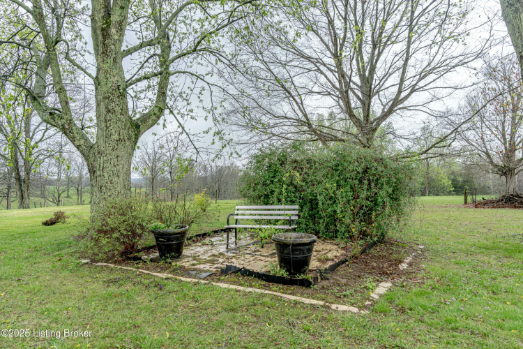Listing Image 50