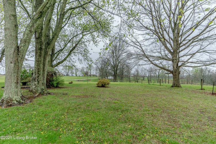Listing Image 52