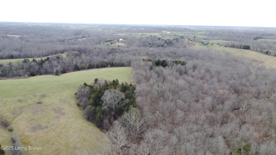 Listing Image 41