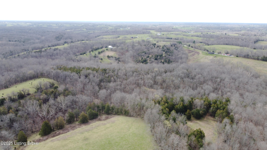 Listing Image 42