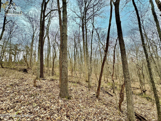 Listing Image 11