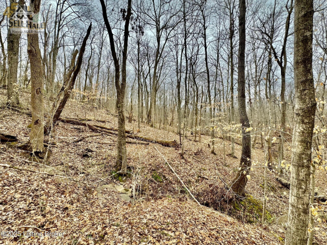 Listing Image 12