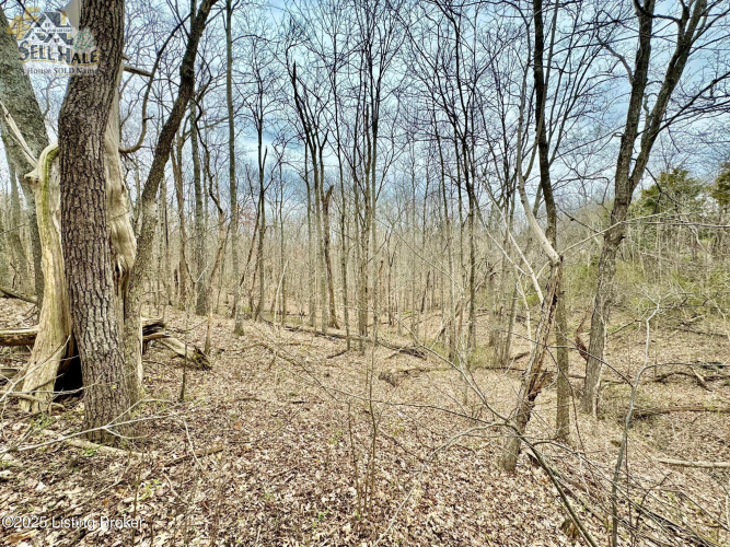 Listing Image 8