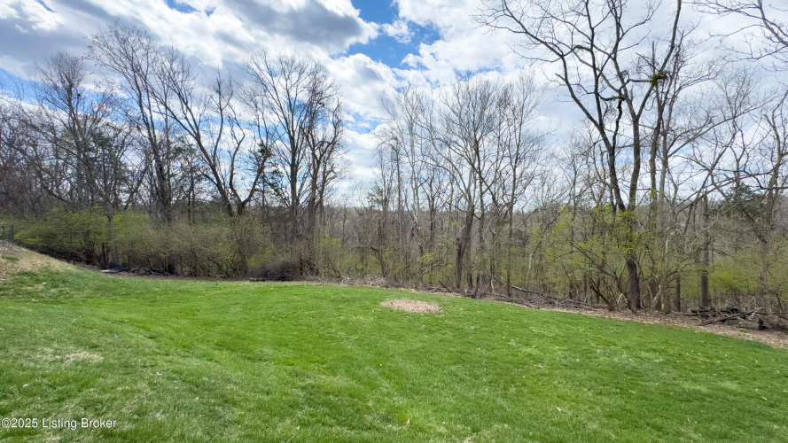 Listing Image 50
