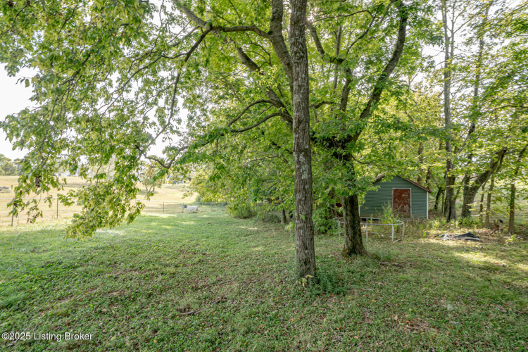 Listing Image 45