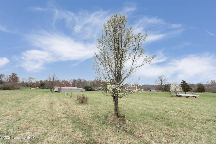 Listing Image 31