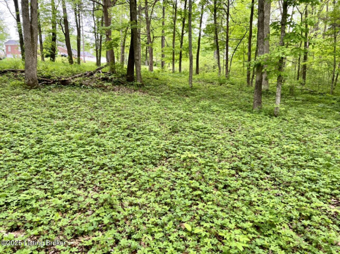 Listing Image 27