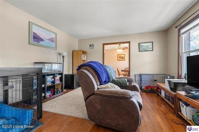 Listing Image 4